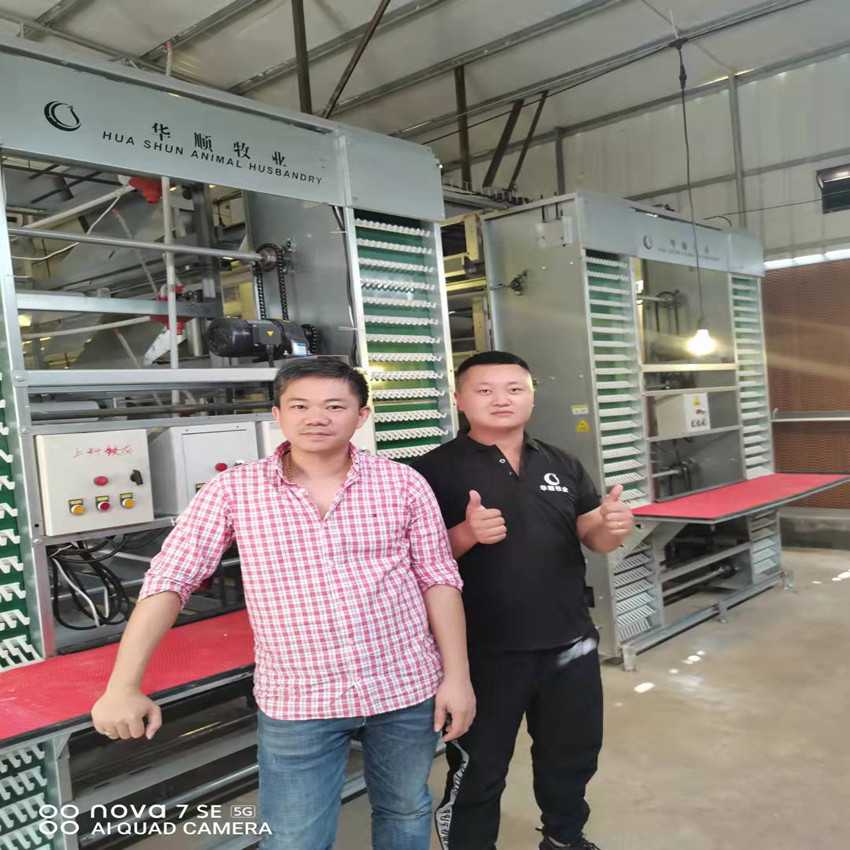 广东1.8米蛋鸡笼安装完毕投入使用